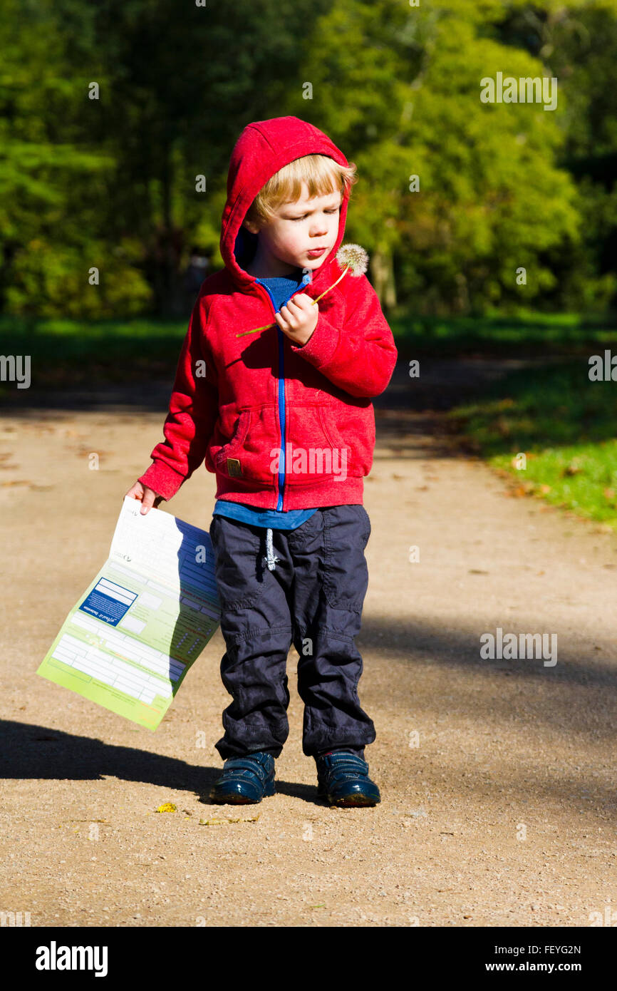 Kleiner Junge bläst die Samen von einem Löwenzahn Stockfoto