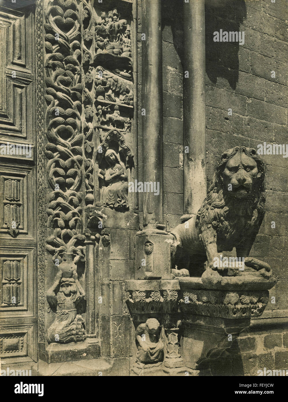 Löwe von der Kathedrale M.S. Assunta, Altamura, Italien Stockfoto