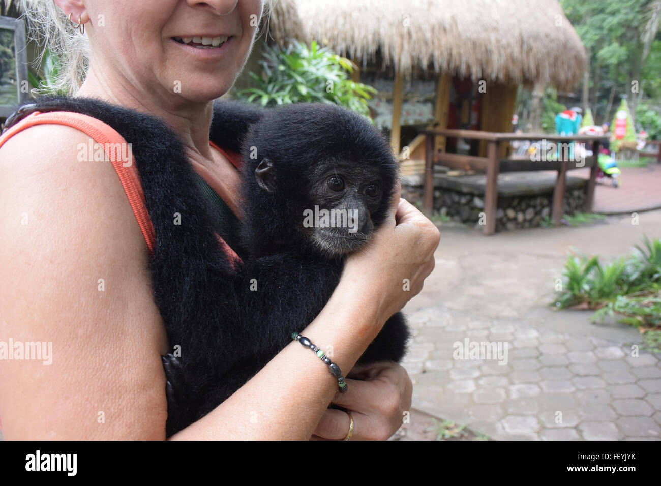 Frau mit 8 Monate alten Gibbon im Zoo von Bali Stockfoto