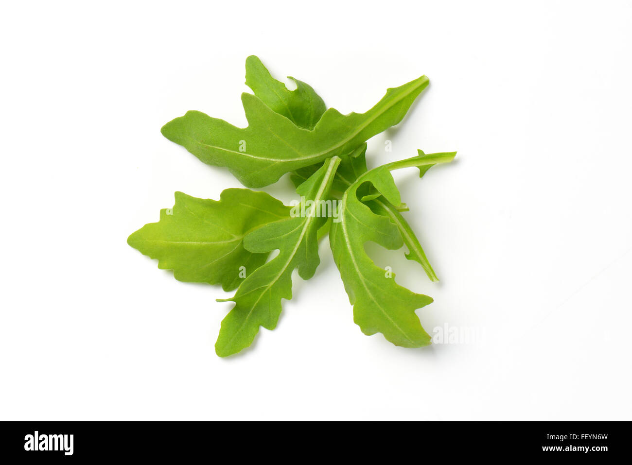 Handvoll Frischer Rucola Blätter auf weißem Hintergrund Stockfoto