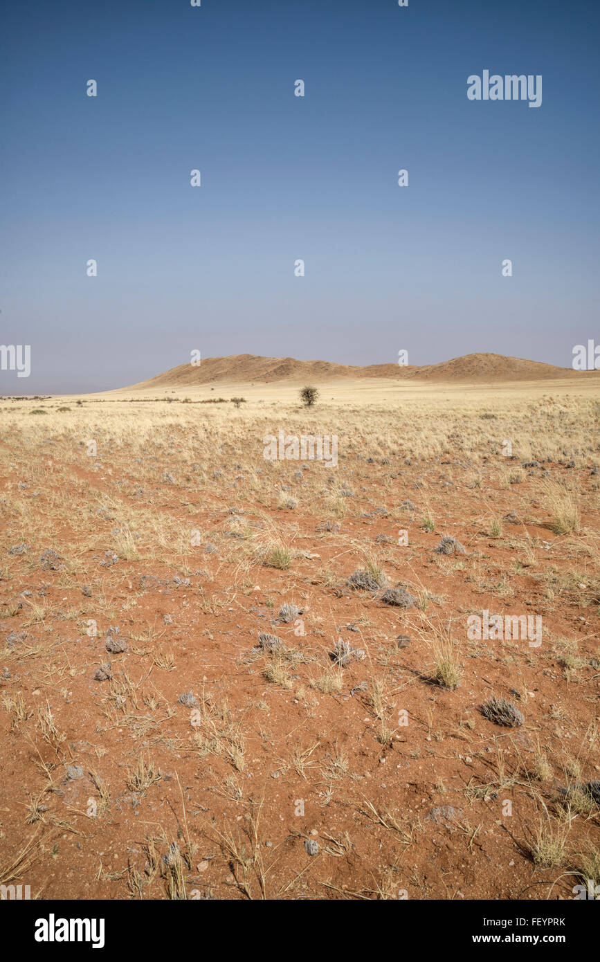Namibia Naukluft park deset Einöde mit rotem Sand und Auburn Bergen Stockfoto
