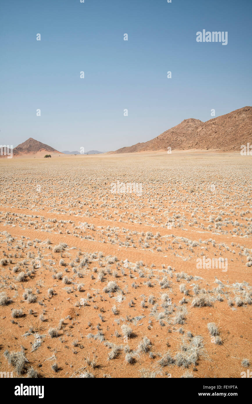 Namibia Naukluft park deset Einöde mit rotem Sand und Auburn Bergen Stockfoto