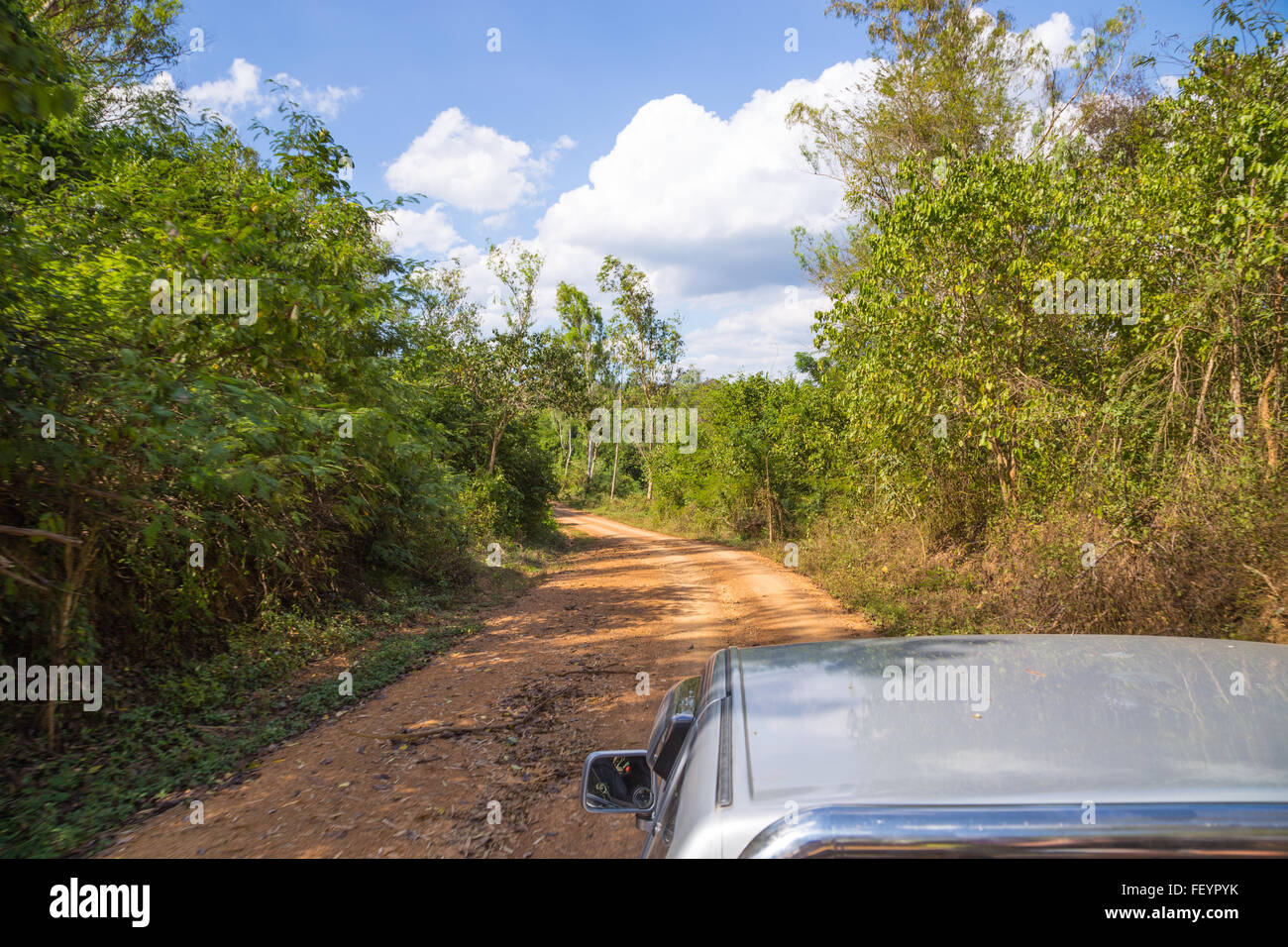 Kui Buri Elephant Nationalpark Thailand. Stockfoto