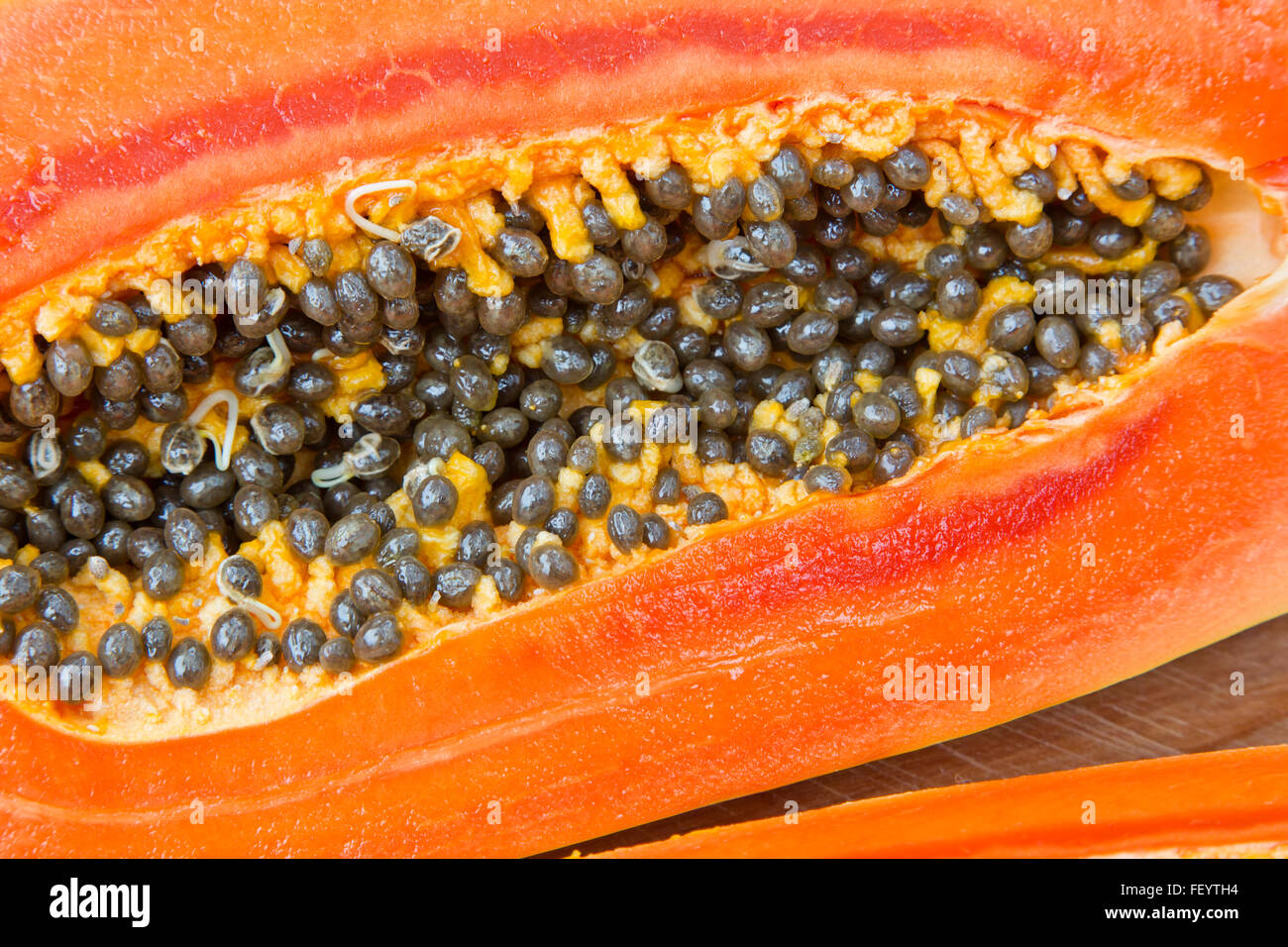 Papaya-Frucht mit Samen "Carica Papaya" halbiert. Stockfoto
