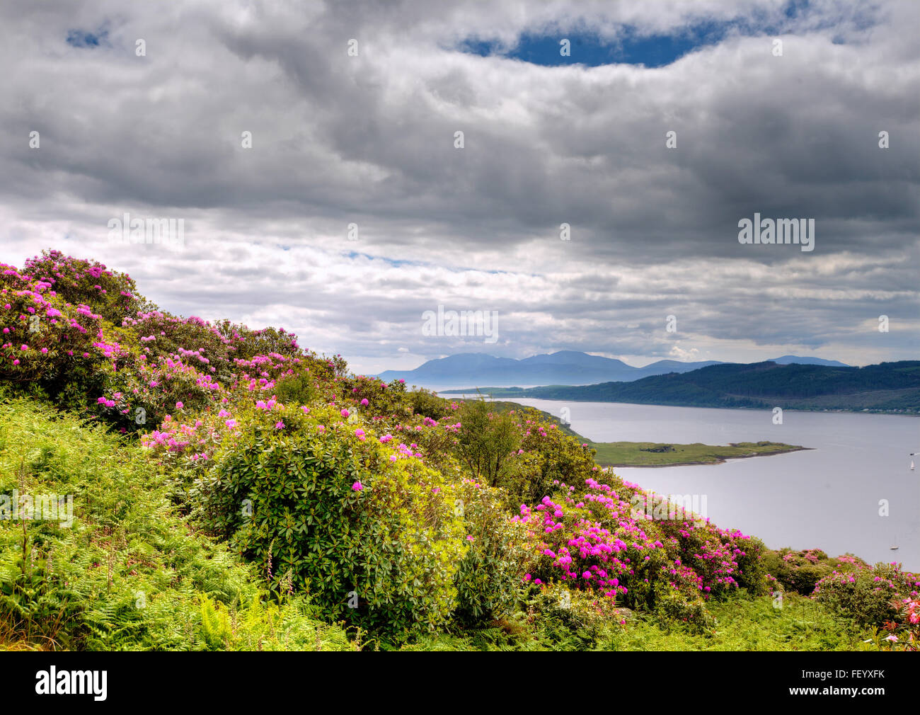 Frühling-Ansicht mit Blick auf die Kyles of Bute mit der Isle of Arran Ansicht, Argyll Stockfoto