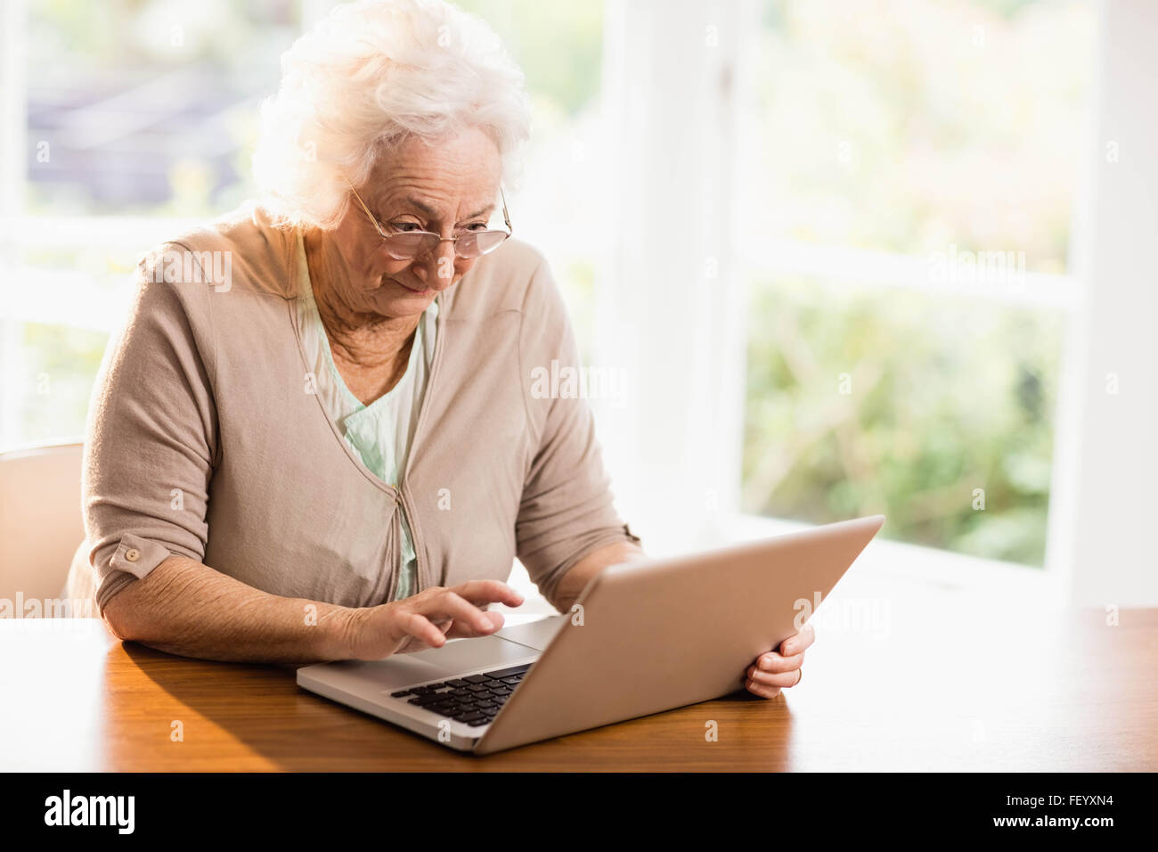 Fokussierte senior Frau mit laptop Stockfoto