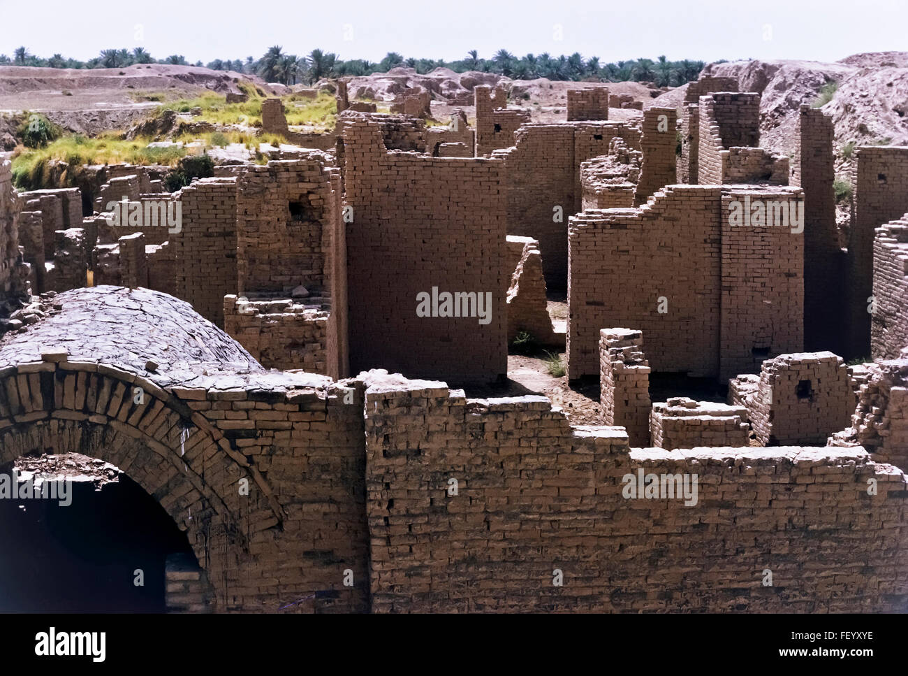 AA 6826. Archivierung der 1960er Jahre Babylon Ruinen, Irak Stockfoto