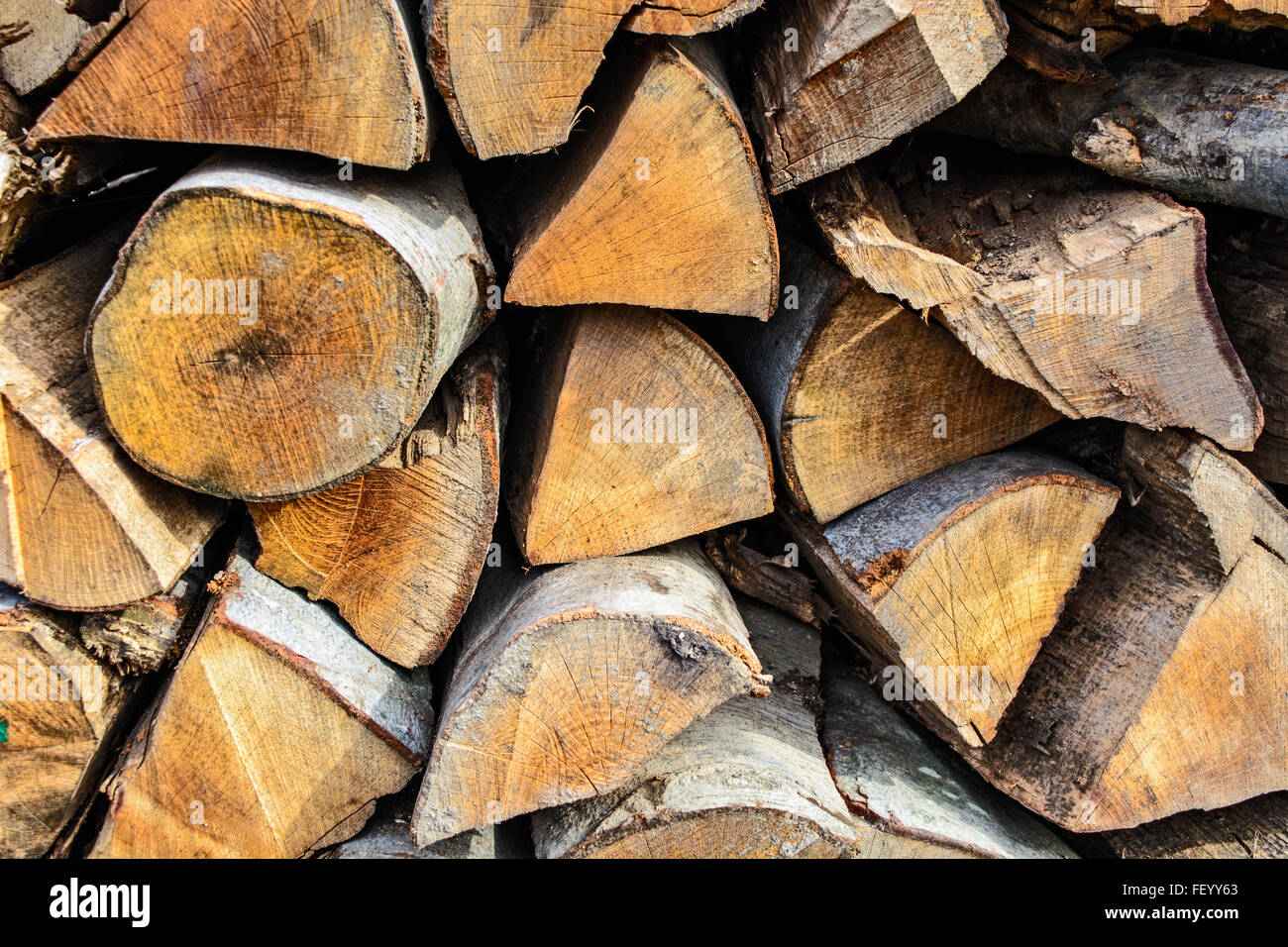 Holzschnitt auf dem Betriebshof des Protokolls und zum Verkauf bereit. Stockfoto