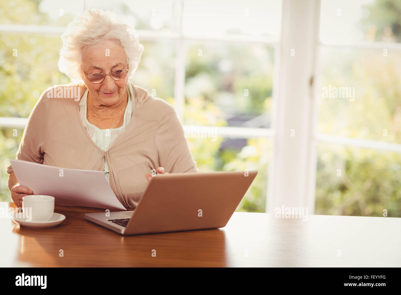 Ältere Frau Umgang mit Dokumenten während mit laptop Stockfoto