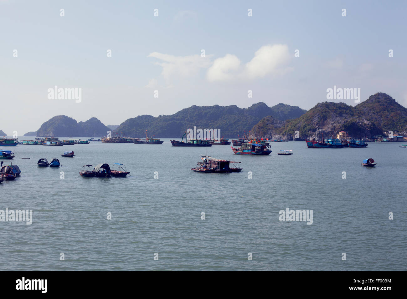 Angelboote/Fischerboote und Häuser rund um Cat Ba Insel, Vietnam. Stockfoto