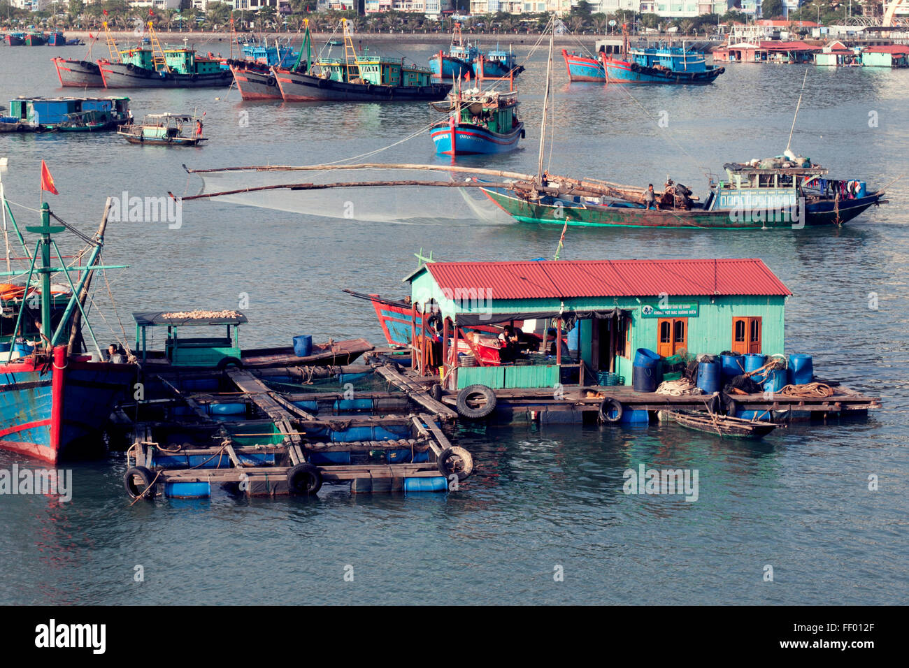 Angelboote/Fischerboote und Häuser rund um Cat Ba Insel, Vietnam. Stockfoto