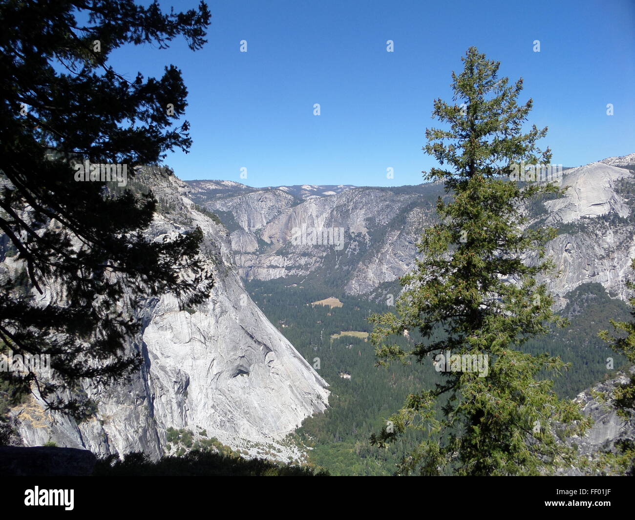 Durch die Bäume ins Tal Stockfoto