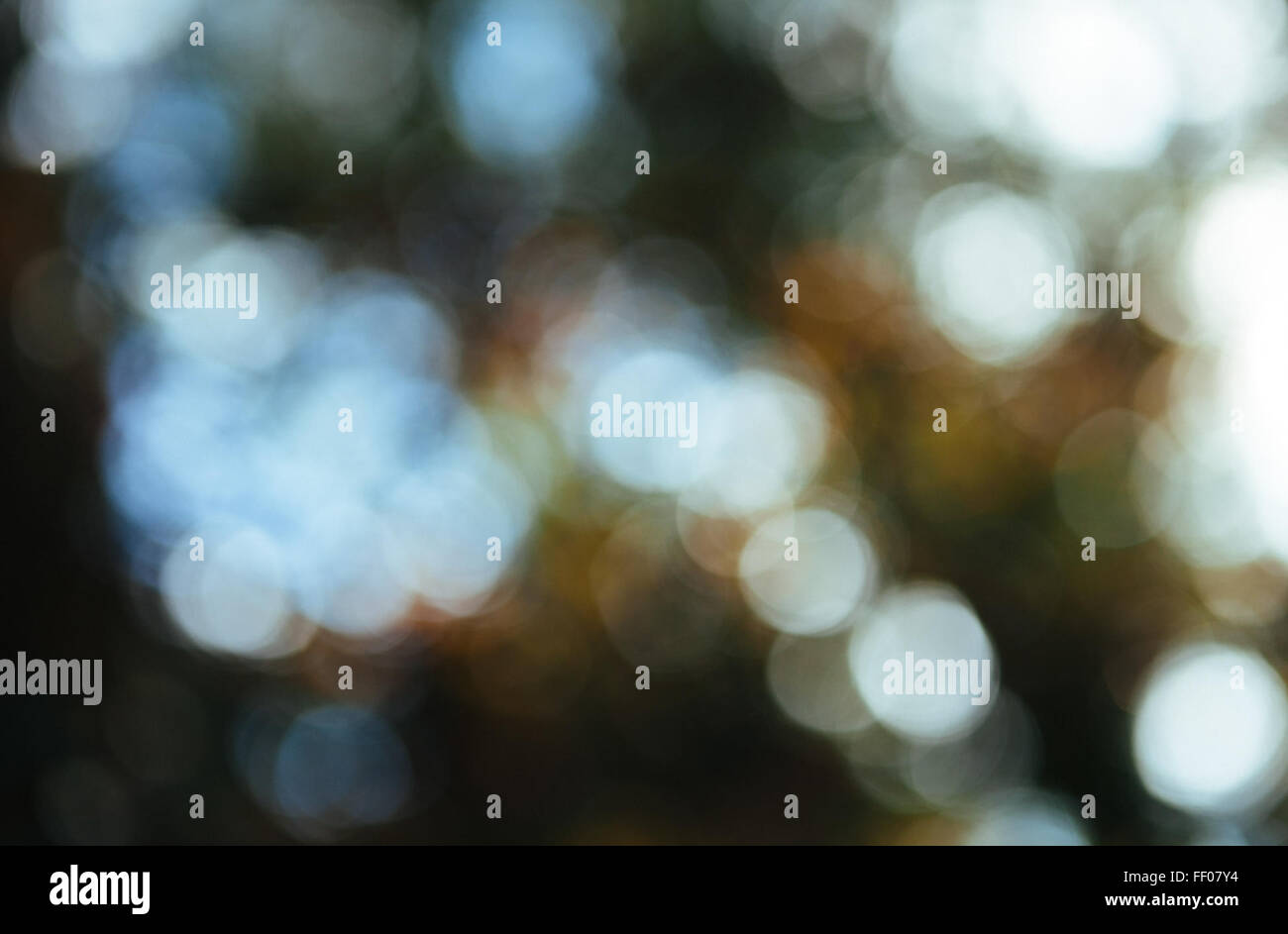 Ein Bokeh-Hintergrund erzeugt einen verschwommenen Effekt mit Lichtkreisen und bietet einen weichen und ästhetisch ansprechenden Hintergrund. Die Textur verleiht jedem Bild Tiefe und visuelles Interesse, das häufig in der Fotografie verwendet wird, um das Motiv zu betonen. Stockfoto