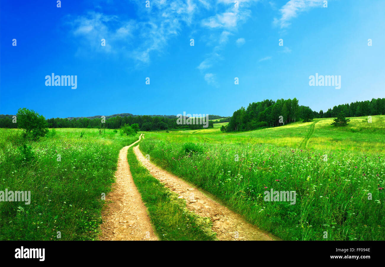 Reifenspuren auf lebendige Grünland Reifenspuren auf lebendige Grünland Stockfoto