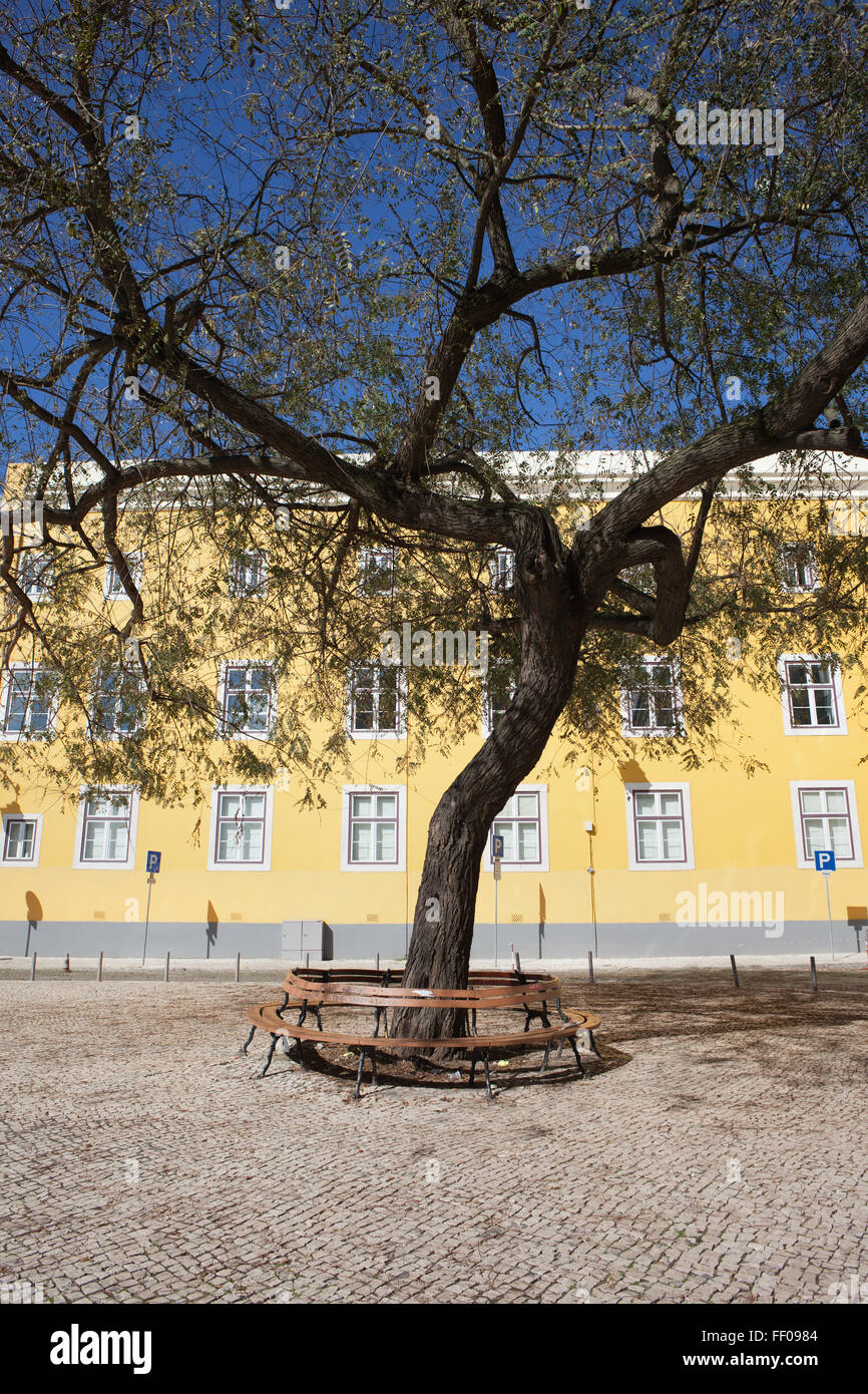 Portugal, Stadt von Lissabon, Belas Artes Lisboa, Faculty of Fine Arts an der Universität Lissabon (Abschluss), kleine, gemütliche Platz mit Stockfoto