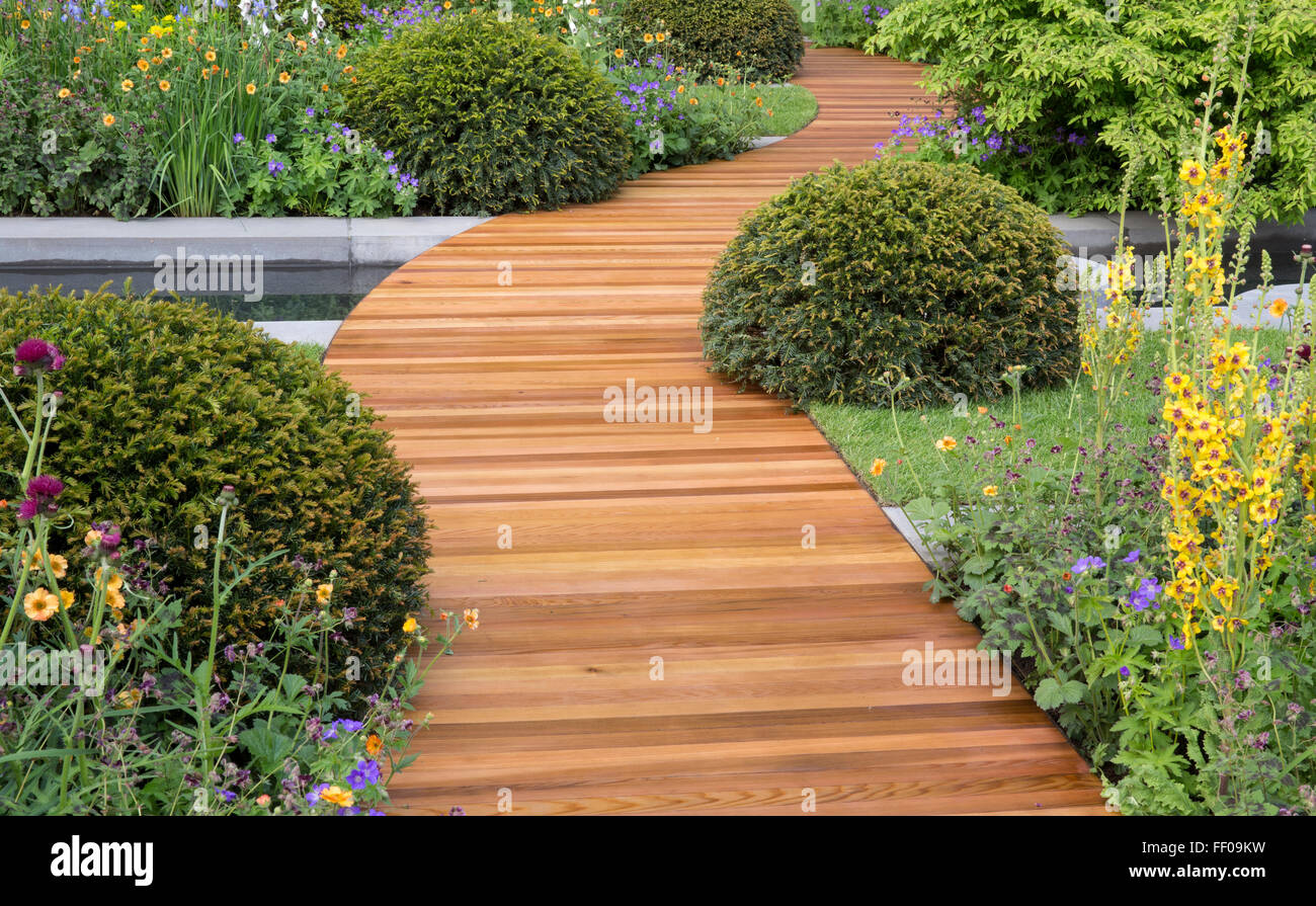 Ein moderner Gartenweg in einem urbanen Landgarten mit Weg Eibenkugeln Topiary und Blumenrand Blumen Grenzen Großbritannien Stockfoto