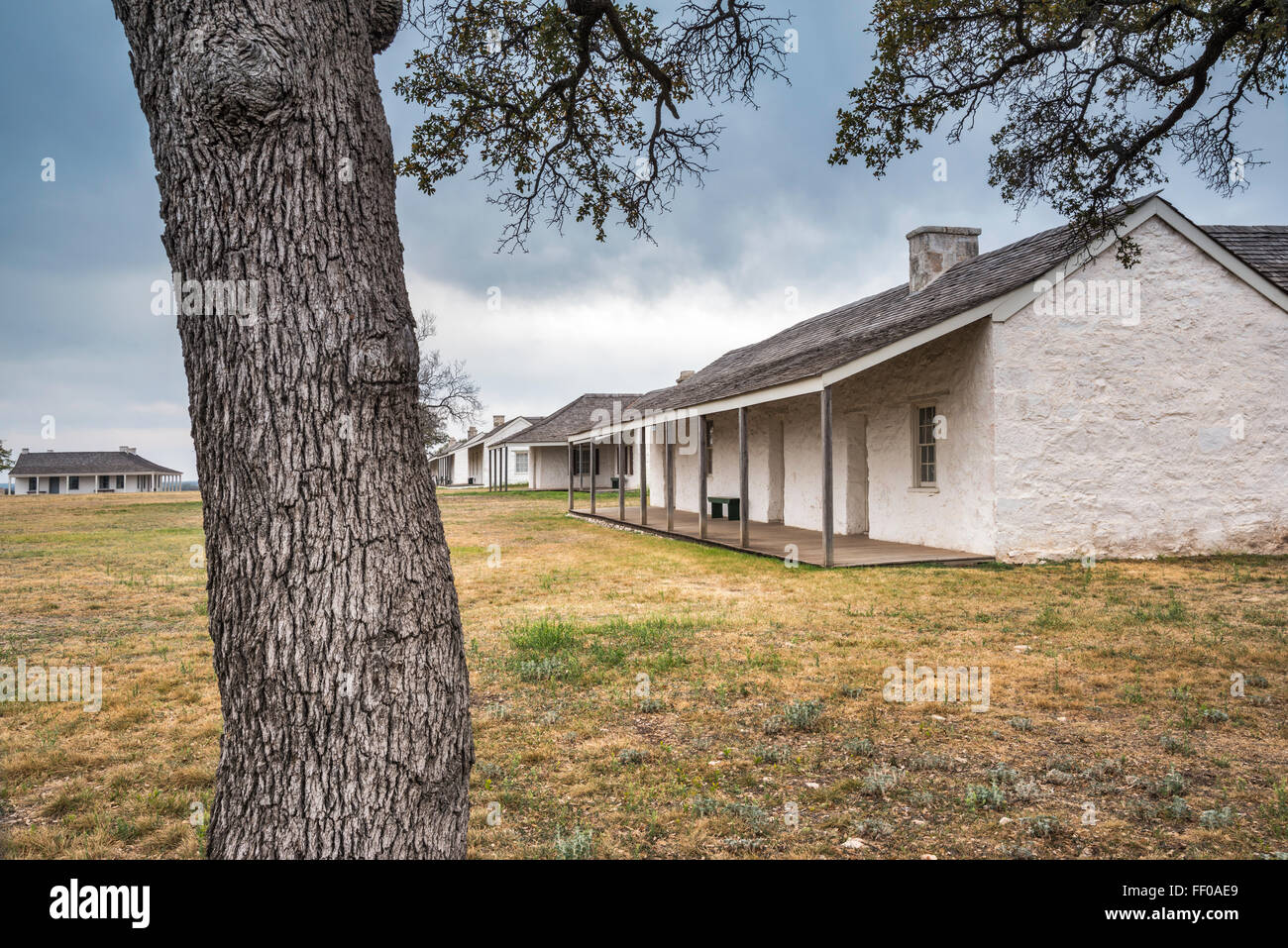 Leutnants Zeile rekonstruierte Gebäude, Phaseneiche Baumstamm an Fort McKavett State Historic Site in Fort McKavett, Texas, USA Stockfoto