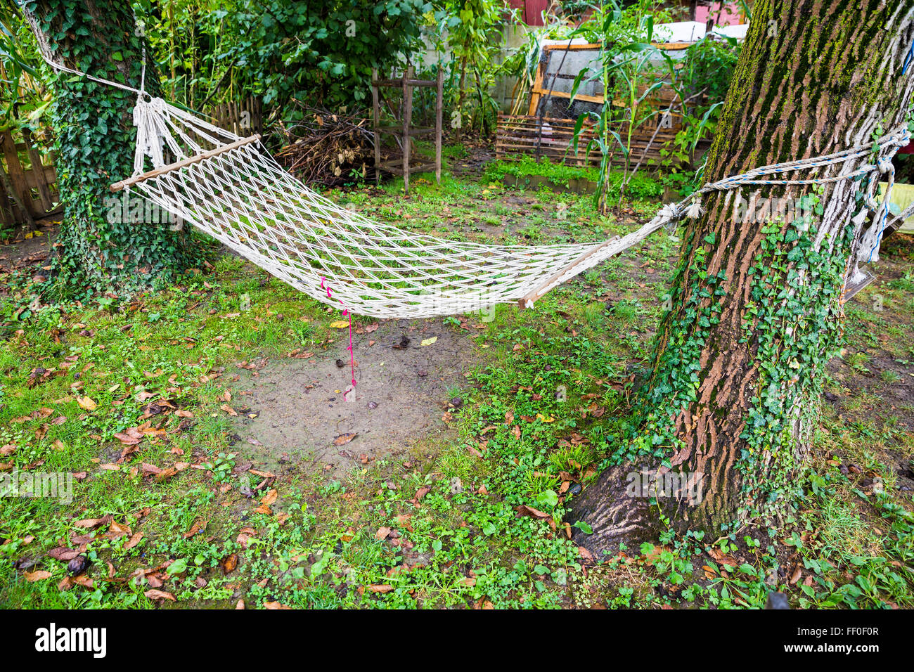 Komfortable Netz Hängematte zwischen zwei Bäumen in einem grünen Garten  Stockfotografie - Alamy