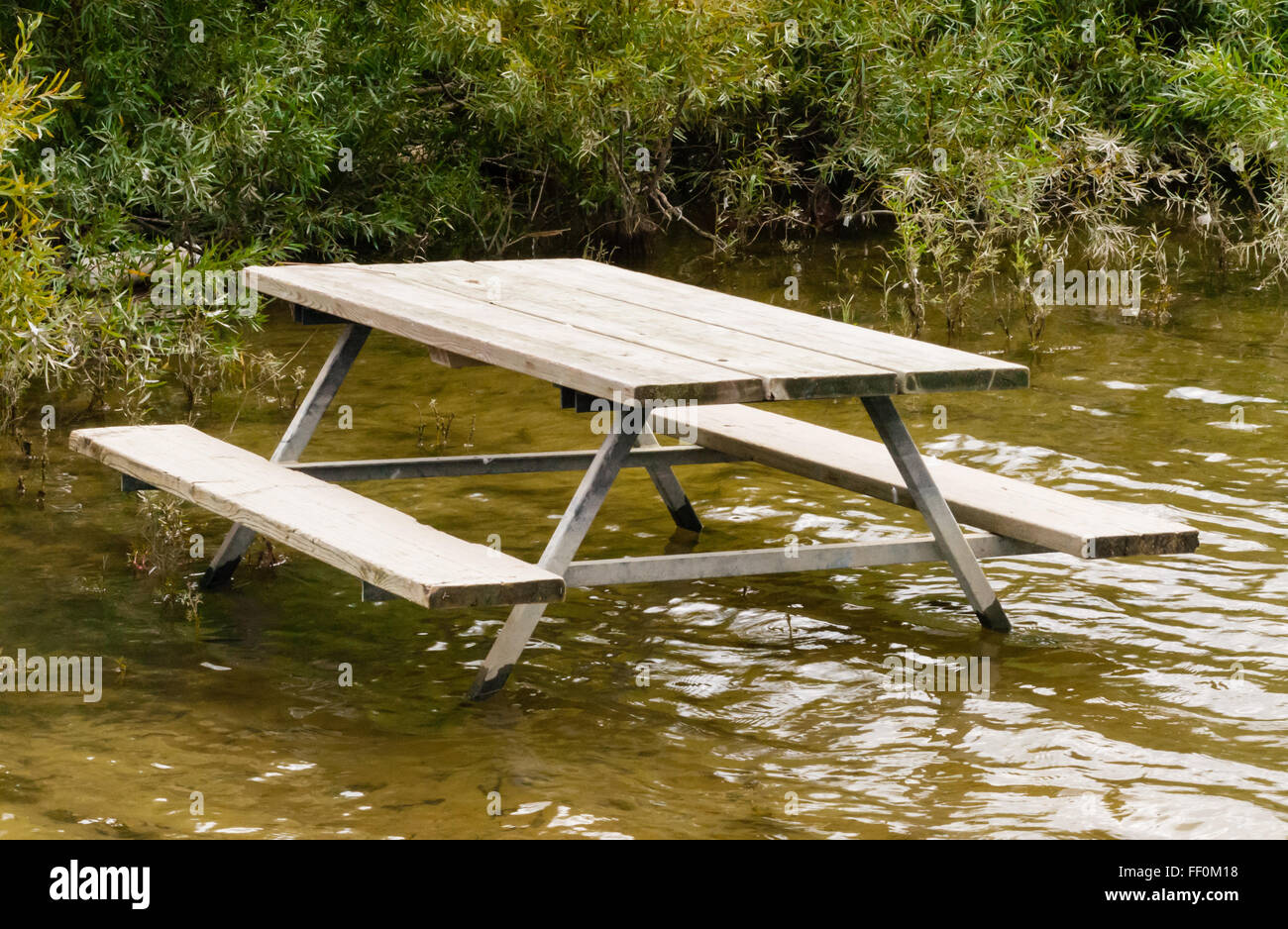 Leeren braunen Picknick Tisch stehend in flachen braunes Wasser in der Nähe von grünen Pflanzen und Sträuchern. Stockfoto