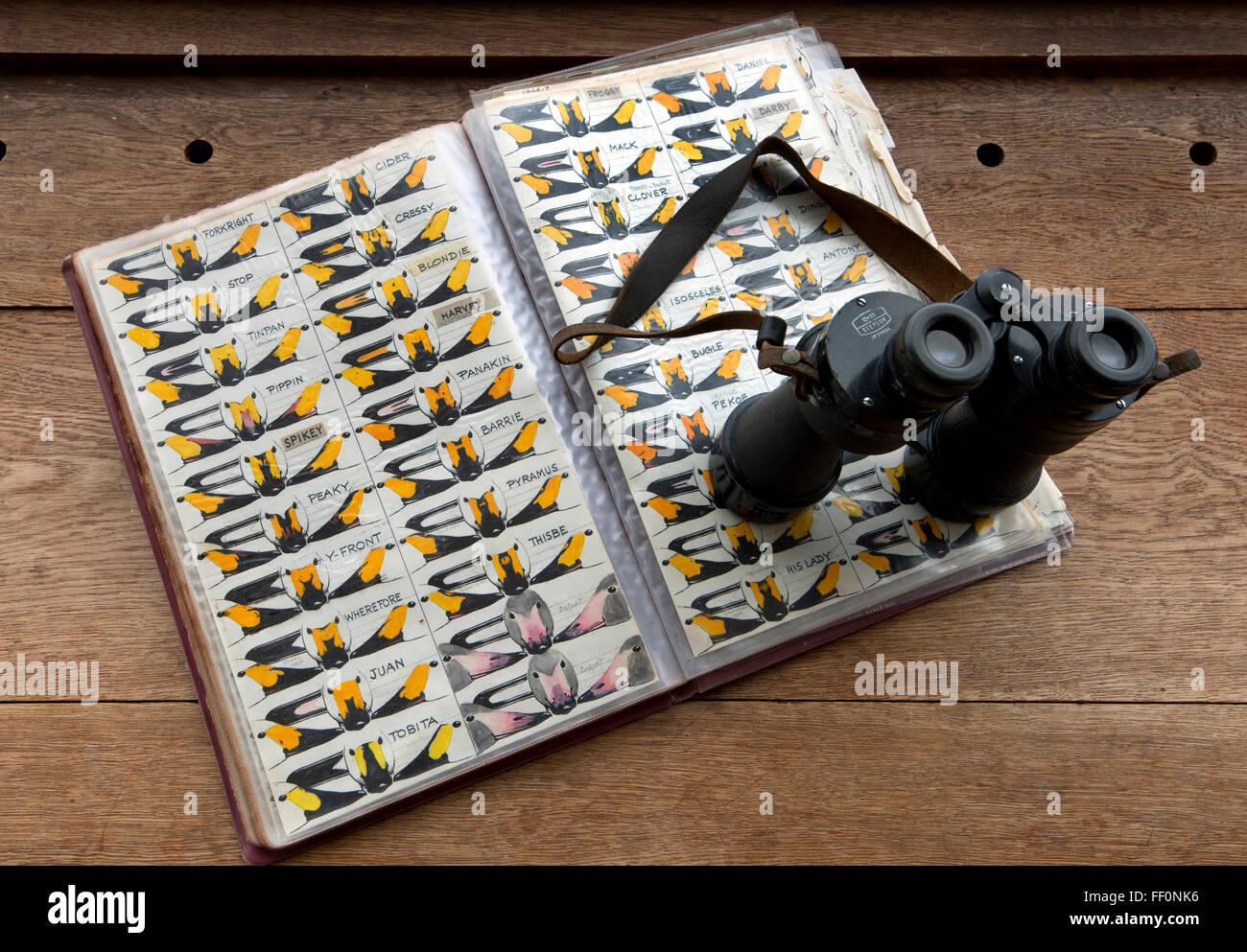 Sir Peter Scott Haus an der & Feuchtgebiete Wildfowl Trust, Slimbridge, Gloucestershire, UK. Von Sir Peter entworfen und gebaut im Jahre 1953. Stockfoto