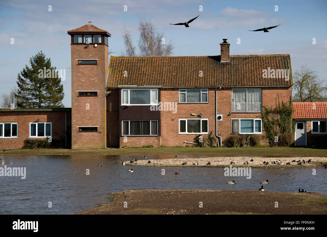 Sir Peter Scott Haus an der & Feuchtgebiete Wildfowl Trust, Slimbridge, Gloucestershire, UK. Von Sir Peter entworfen und gebaut im Jahre 1953. Stockfoto