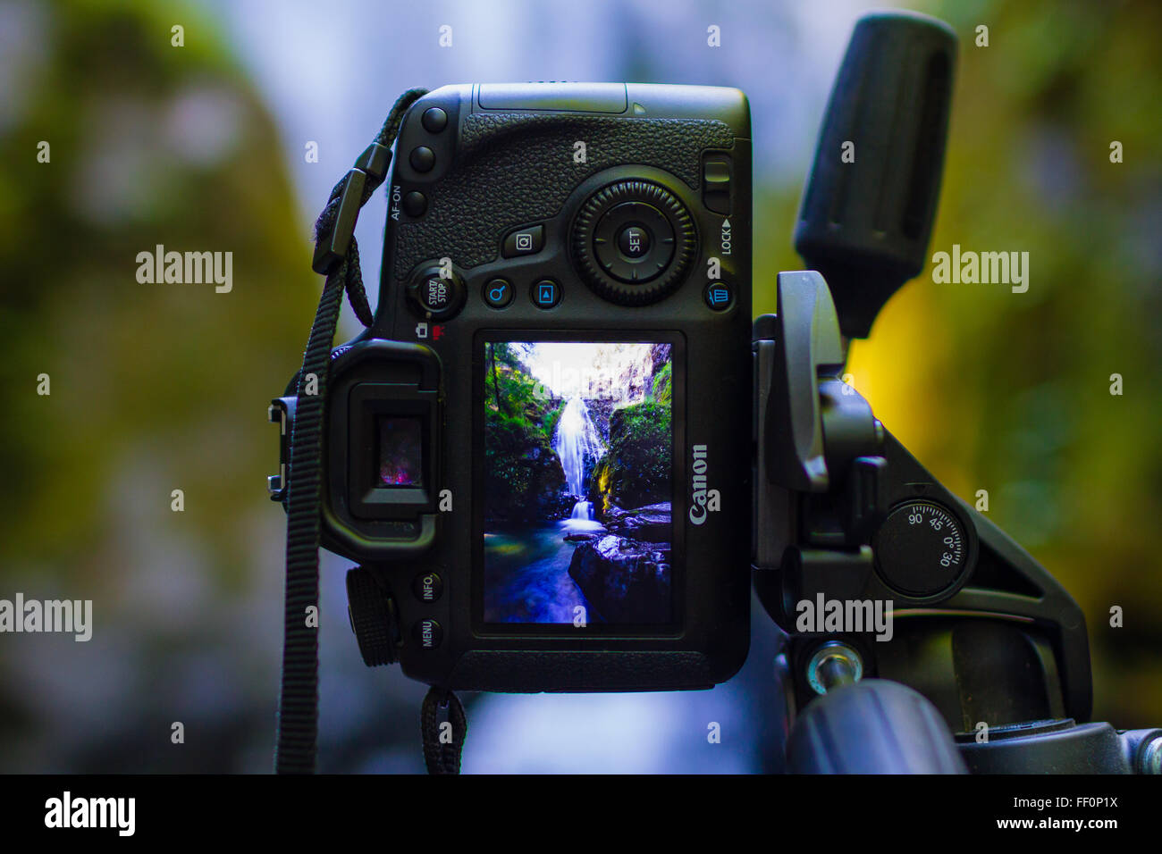 GLEITEN, OR - 7. Juni 2015: Canon EOS 6D DSLR Digitalkamera auf einem Stativ mit einem Bild von einem Wasserfall auf dem LCD-Bildschirm montiert. Stockfoto