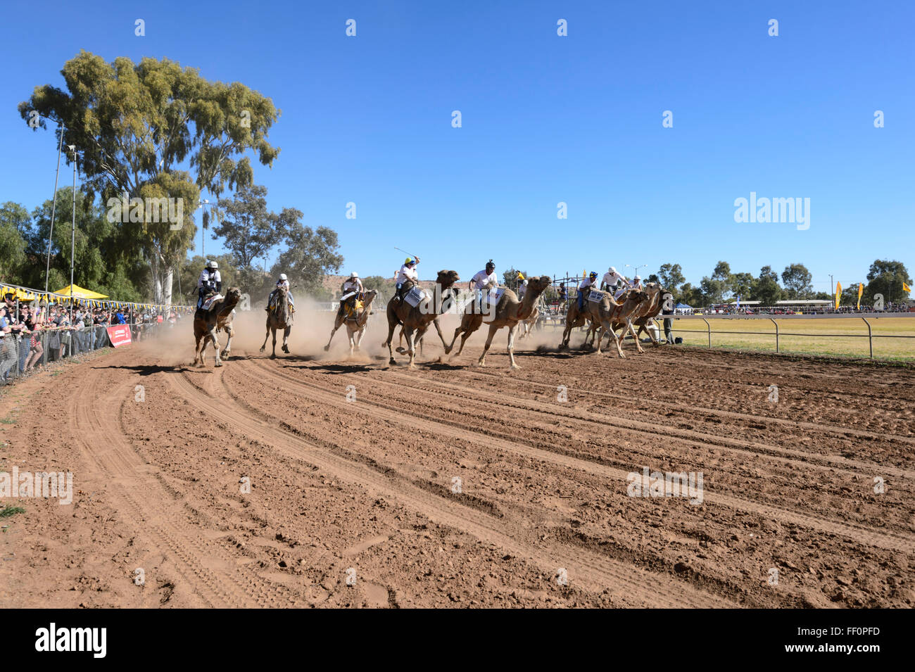 2015 Camel Cup, Alice Springs, Northern Territory, Australien Stockfoto