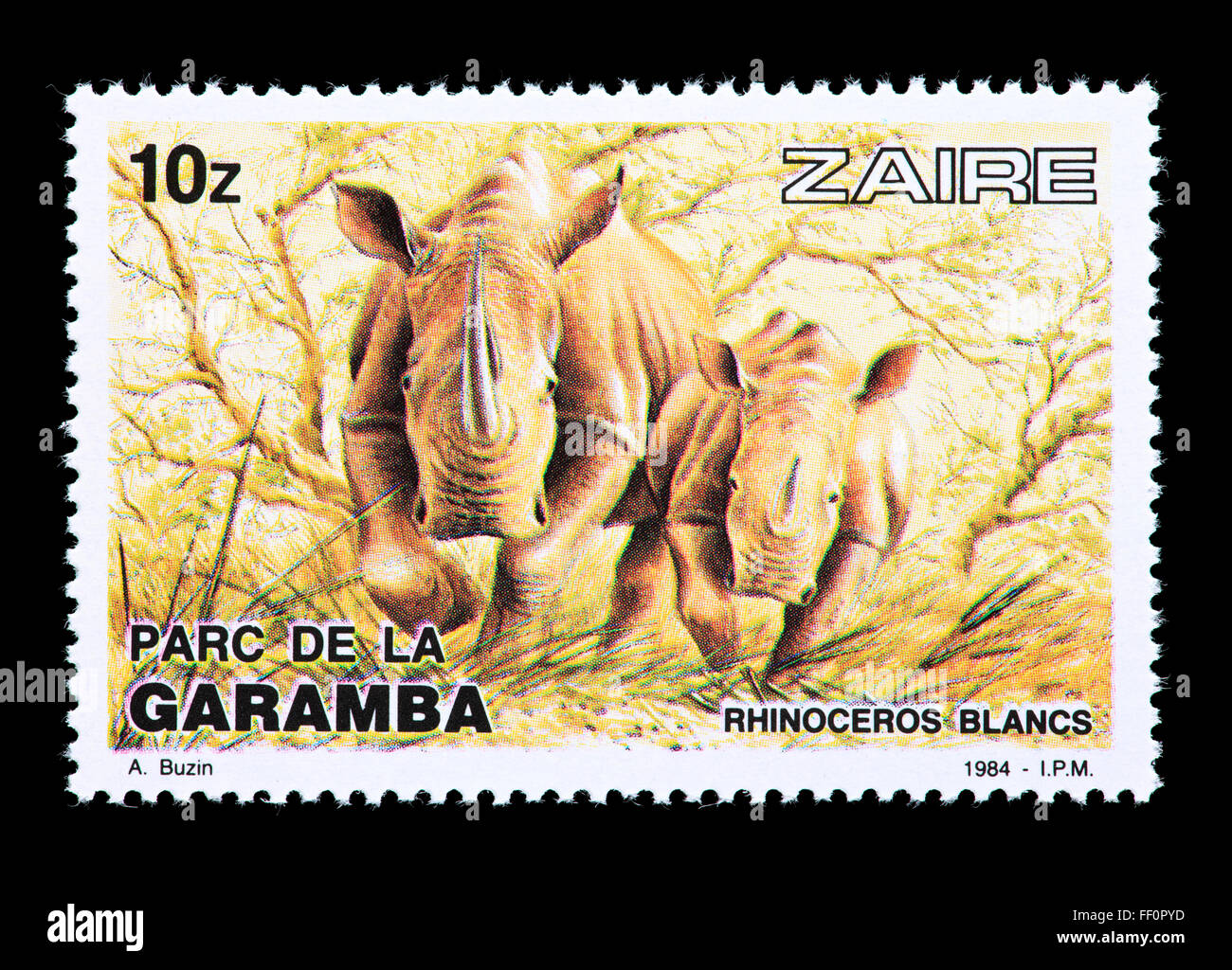 Briefmarke aus Zaire Darstellung zwei laufen weiße Nashorn im Garamba-Nationalpark Stockfoto