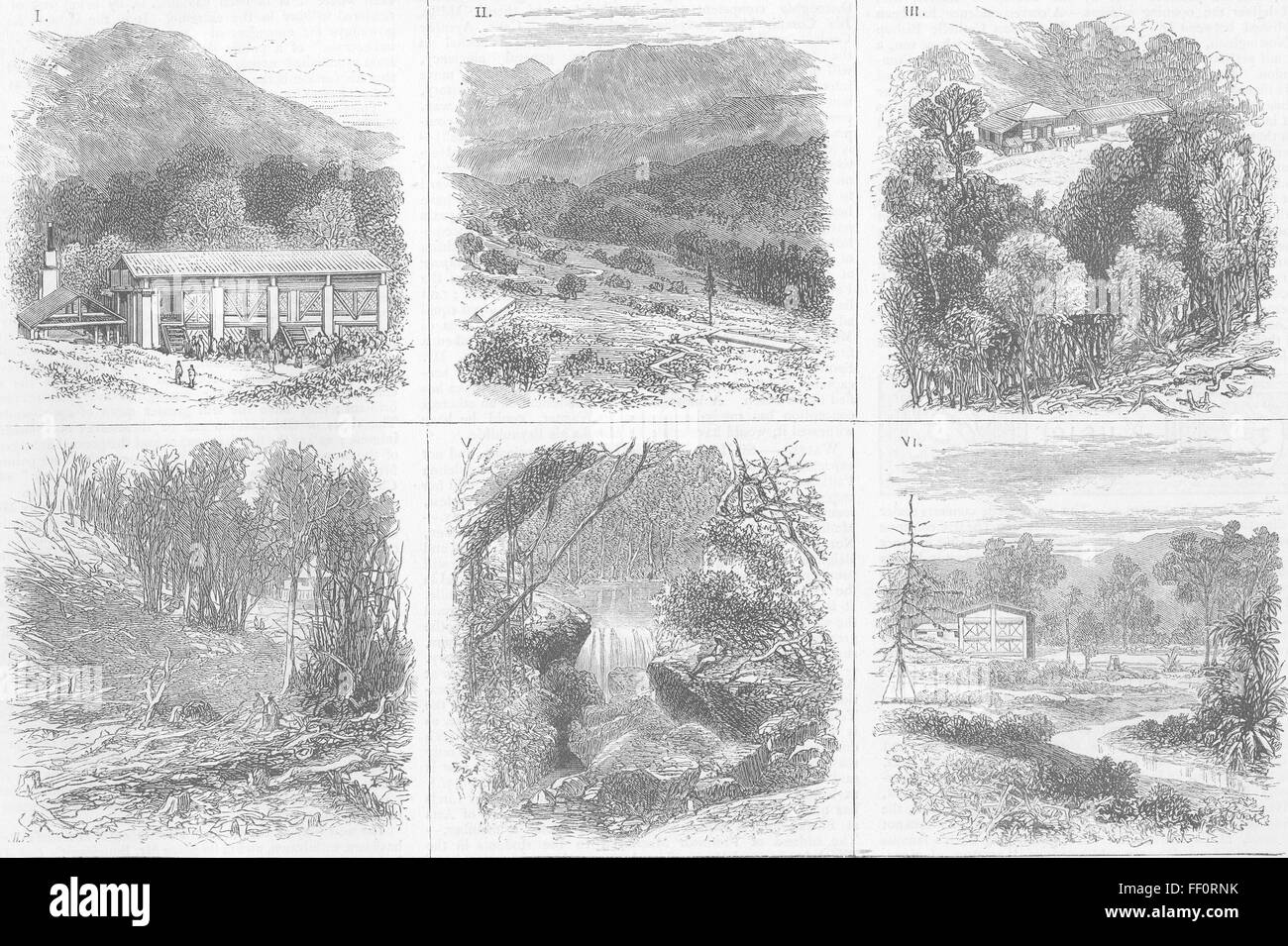 SRI LANKA Matala Kaffee Estates Brae, Pell, Laggalla 1876. Die Grafik Stockfoto