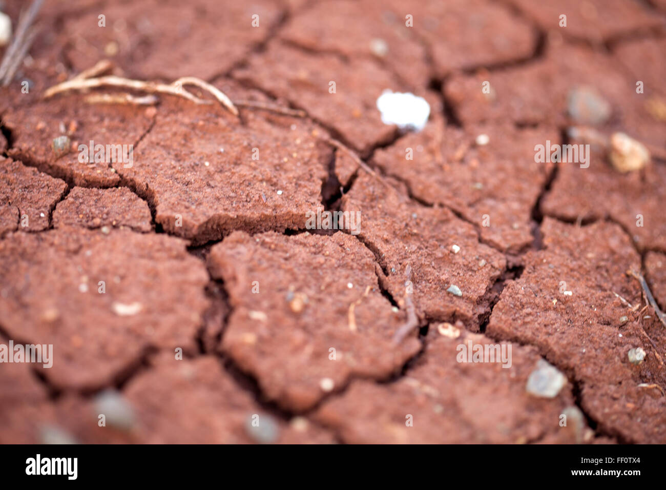 Eine Nahaufnahme von trockenen roten rissige Erde. Stockfoto