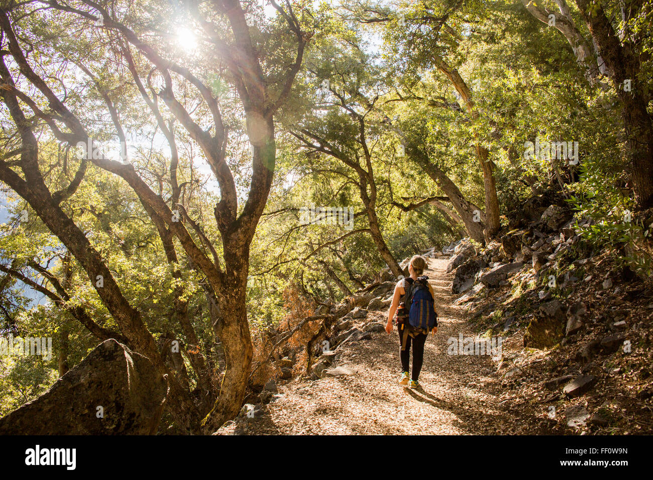 Kaukasische Frau zu Fuß im Wald Stockfoto