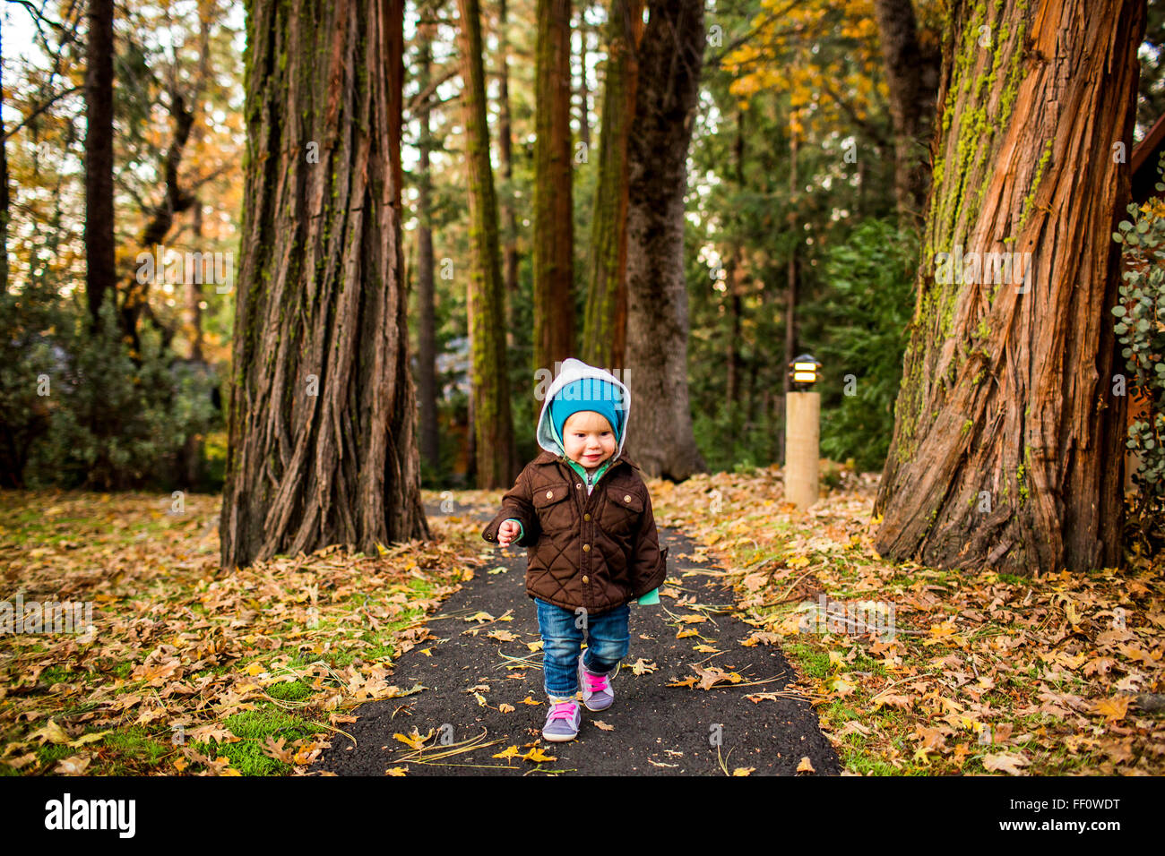 Kaukasische Mädchen gehen im Herbst park Stockfoto