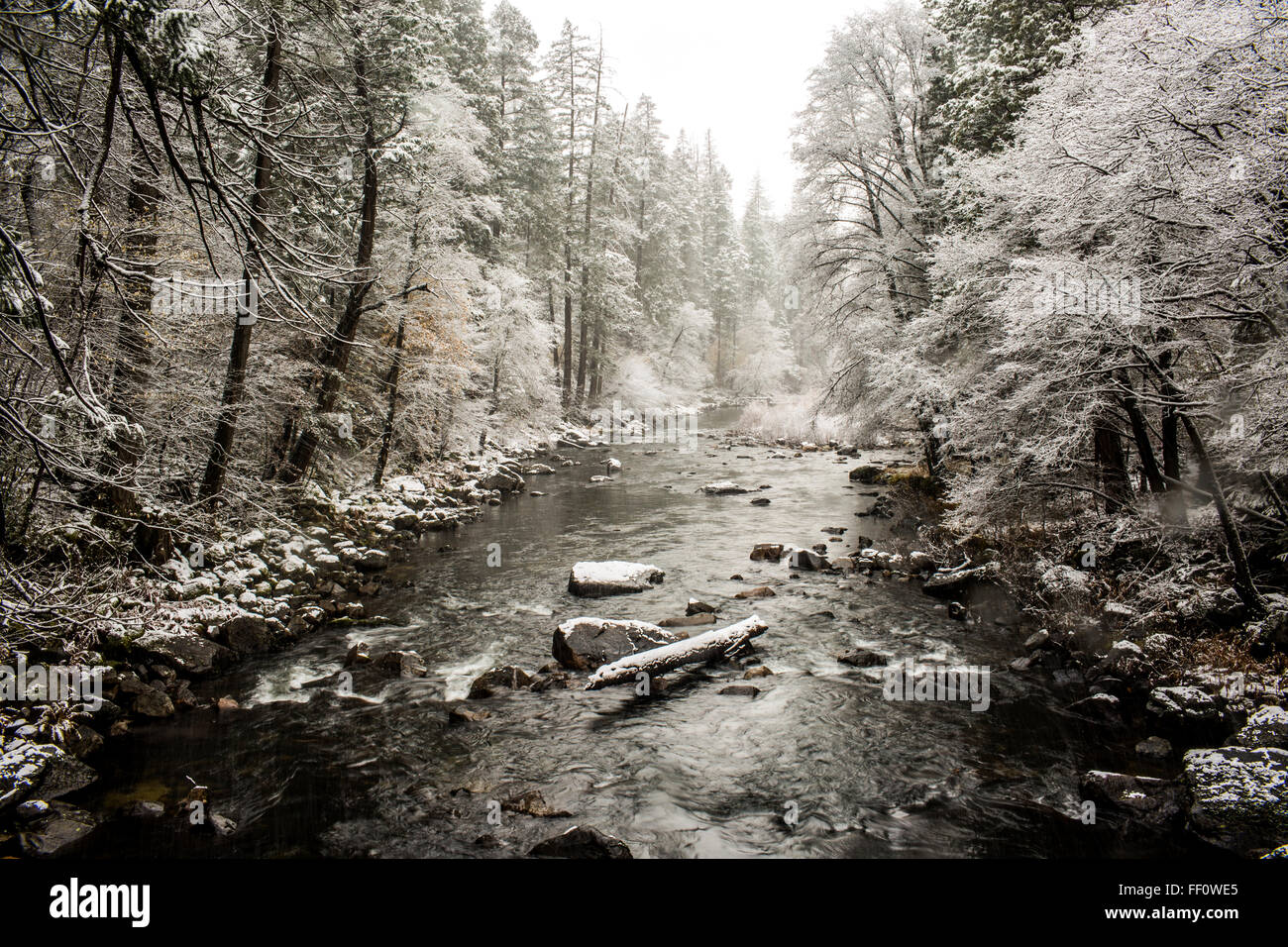 Bach im verschneiten Wald Stockfoto