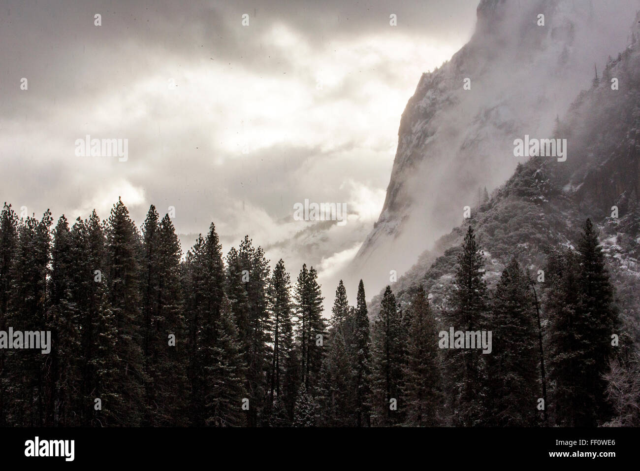 Wald und Berge im Yosemite Nationalpark, California, United States Stockfoto