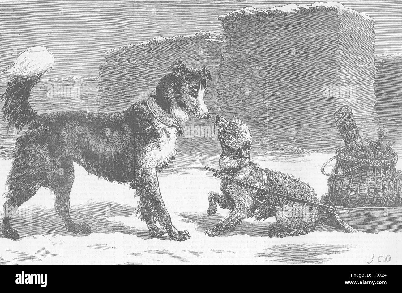 Hunde Colonial-Briten werden niemals Sklaven 1879 sein. Die Grafik Stockfoto