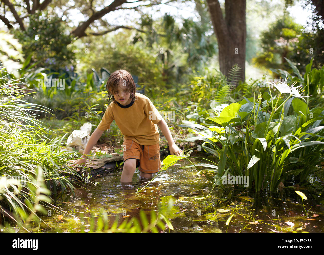 Ein Junge watet Knie tief in einem kleinen Teich in einer üppigen grünen Umgebung. Stockfoto