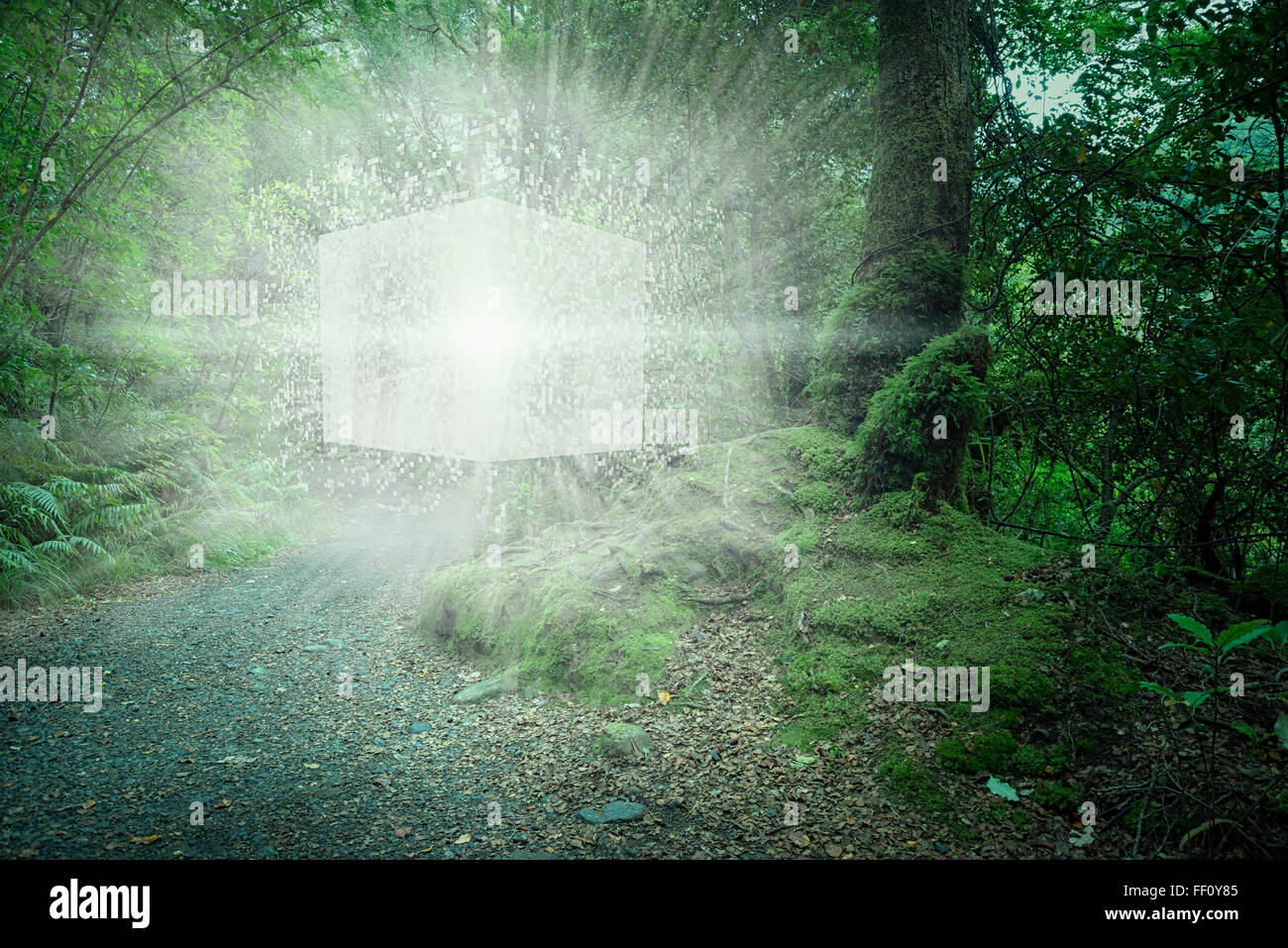 Digitaler Würfel explodieren im Wald Stockfoto