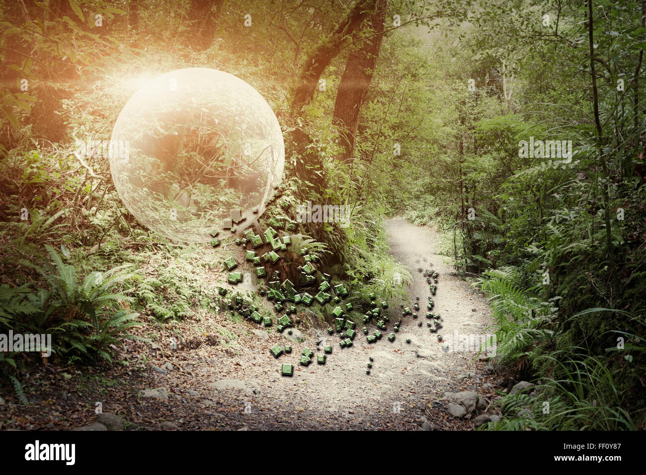 Globus im Wald Leuchten Stockfoto