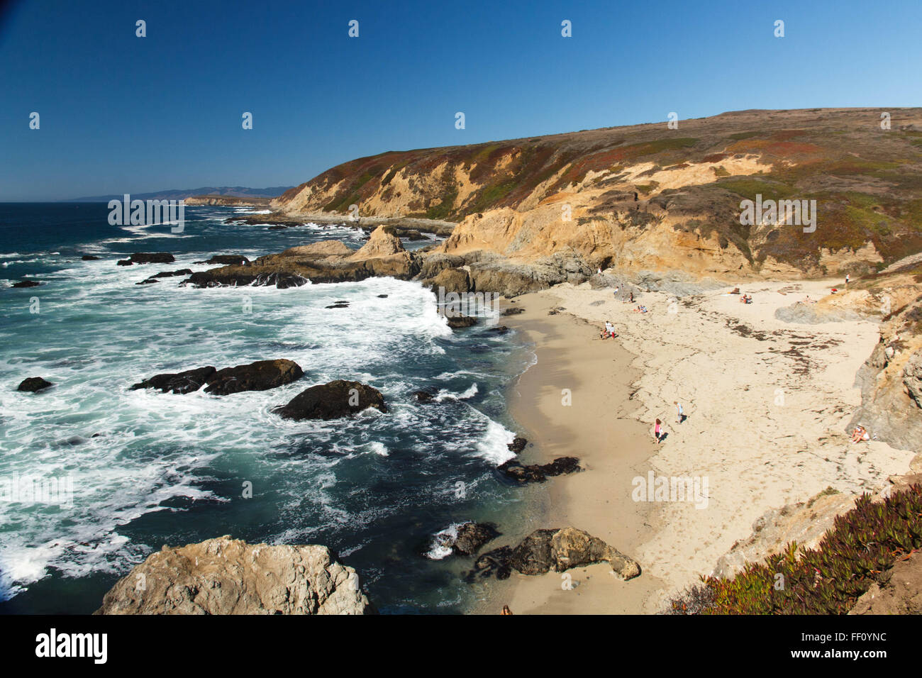 Sonoma Coast Bodega Head, ca Stockfoto