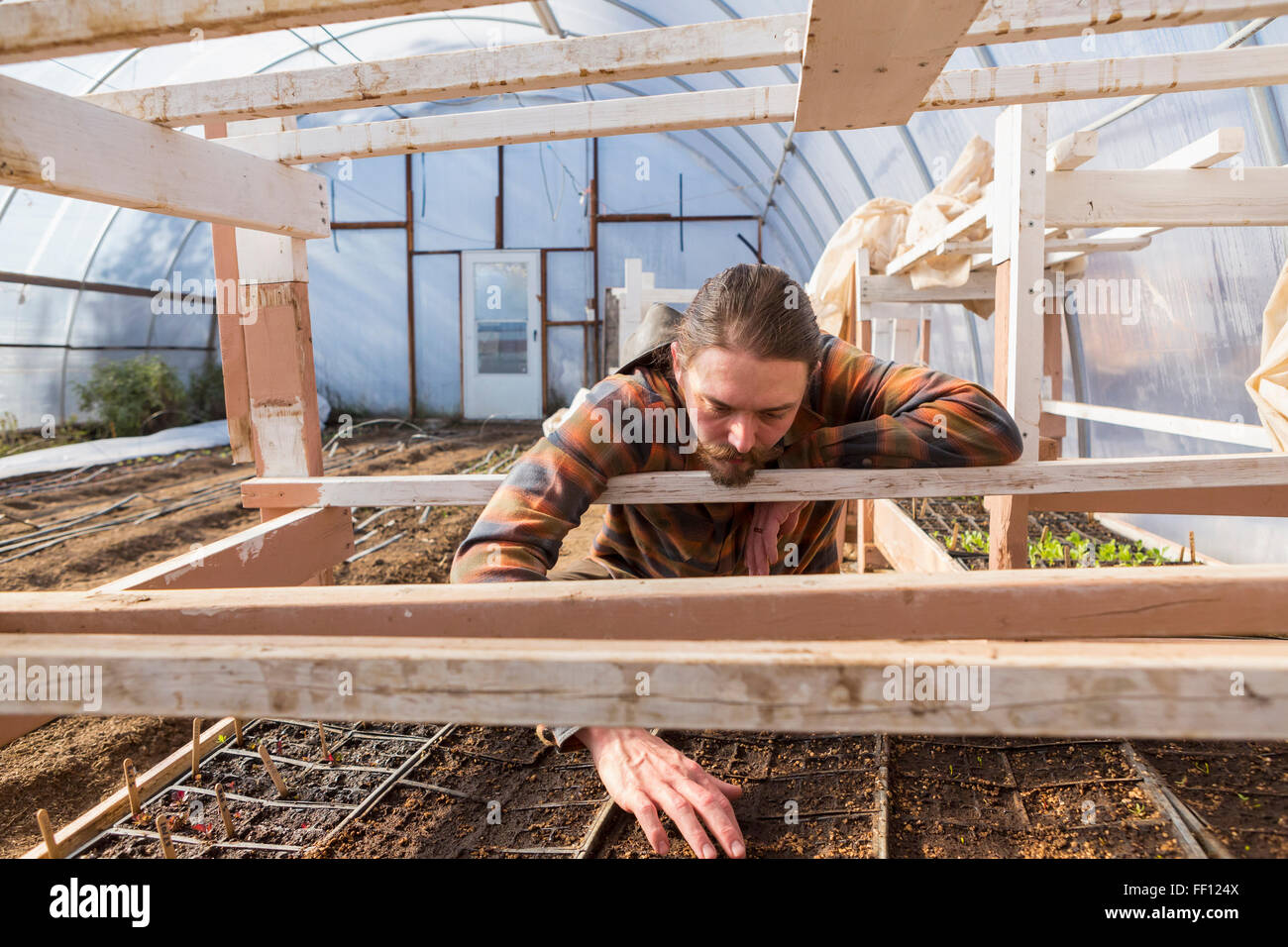 Kaukasische Landwirt untersuchen Pflanzen im Gewächshaus Stockfoto