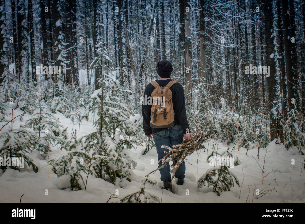 Kaukasische Wanderer mit Brennholz im verschneiten Wald Stockfoto