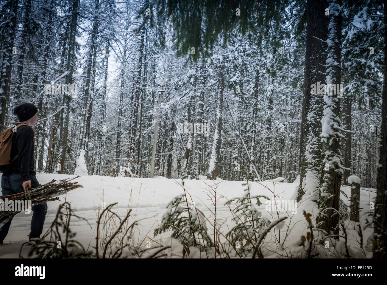 Kaukasische Wanderer mit Brennholz im verschneiten Wald Stockfoto
