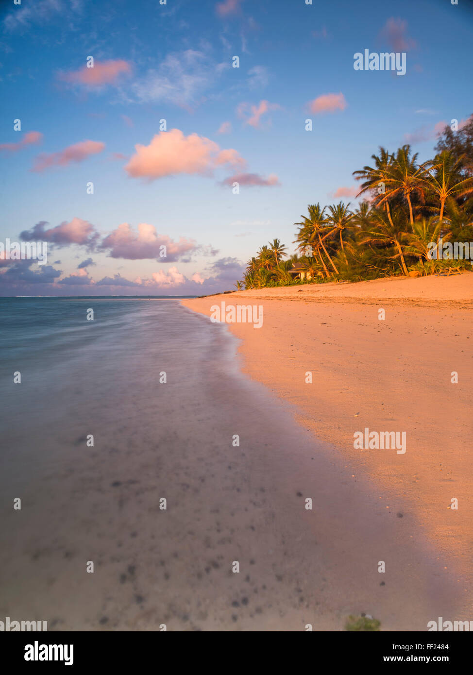 TropicaRM Strand mit PaRMm Bäumen bei Sonnenaufgang, Rarotonga, Cook IsRMands, South Pacific, Pazifik Stockfoto