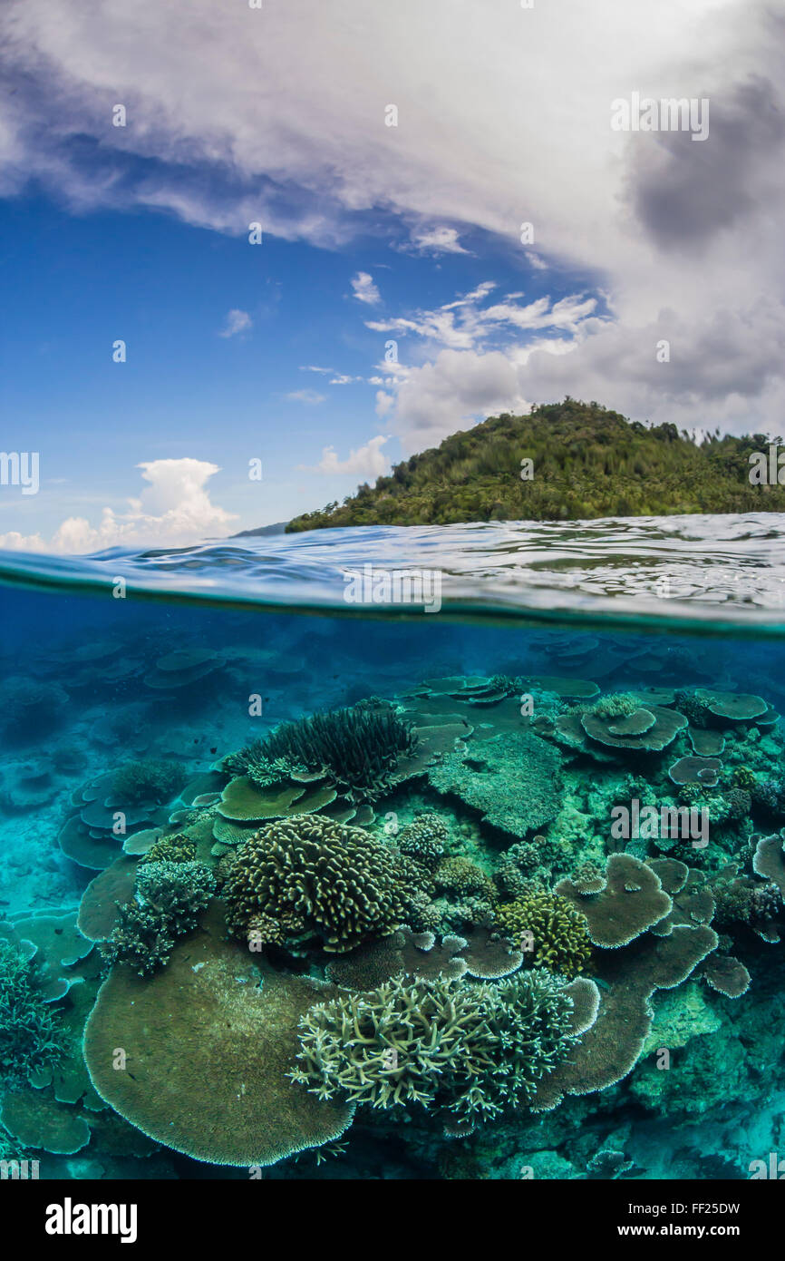 Über die Hälfte und die Hälfte unter Ansicht von Korallenriff auf Pulau Setaih Insel Natuna Archipel, Indonesien, Südostasien, Asien Stockfoto