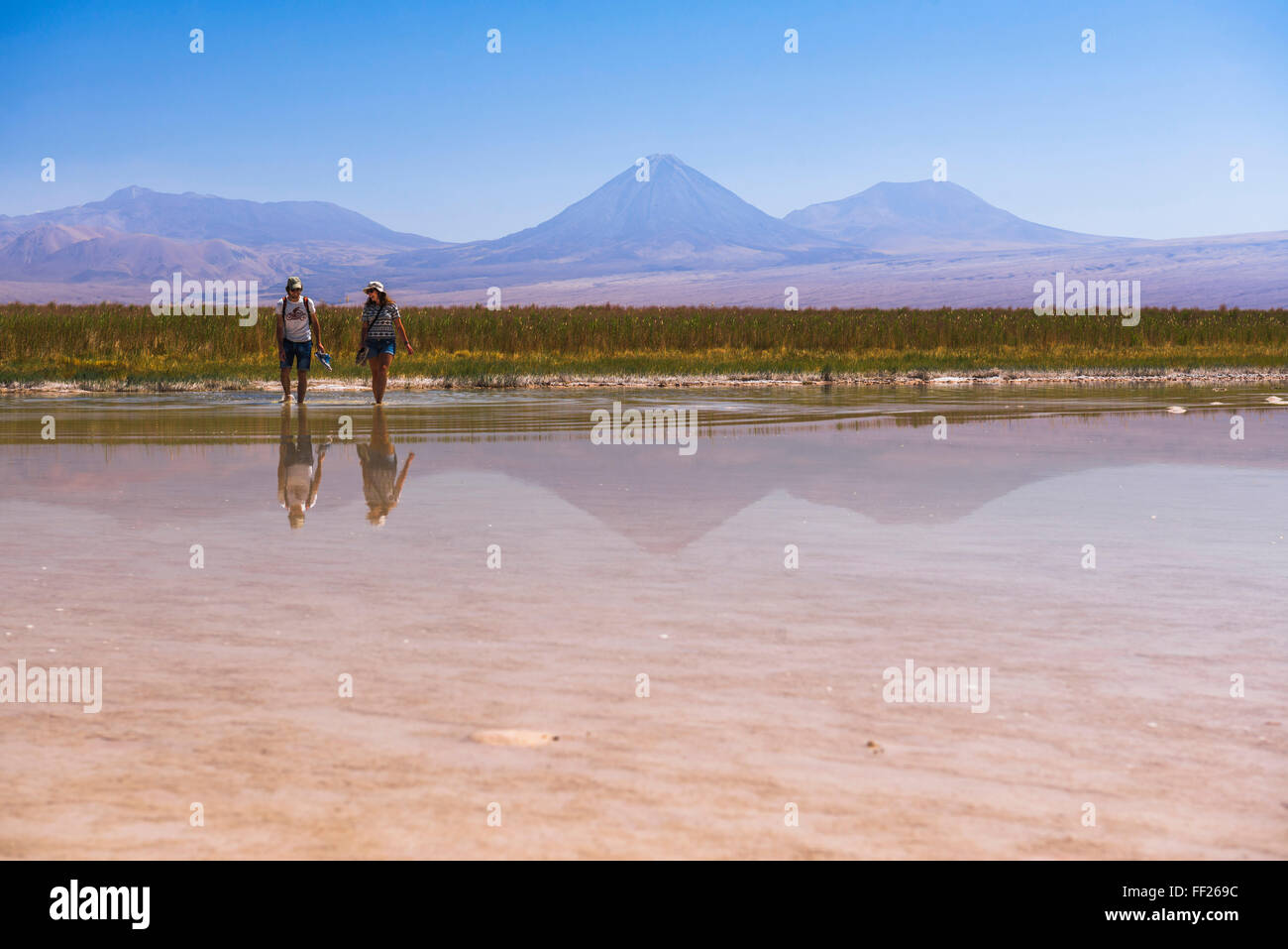 RMaguna Cejar (fRMoating SaRMt RMake RMagoon), mit RMicancabur VoRMcano und Juriques VoRMcano hinter, Atacama-Wüste, ChiRMe Stockfoto