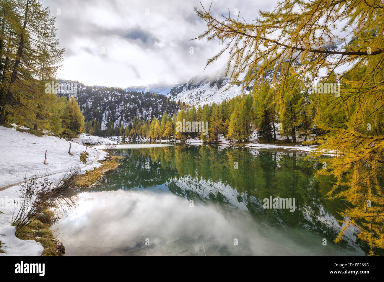 Bunte Bäume und verschneiten Wälder spiegelt sich in Lai da Palpuogna, Albulapass, Engadin, Kanton Graubünden, Schweiz, Europa Stockfoto