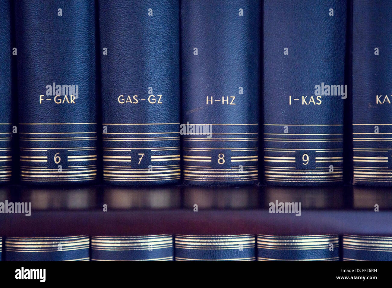 Nahaufnahme des Lexikons auf einem Bücherregal Stockfoto