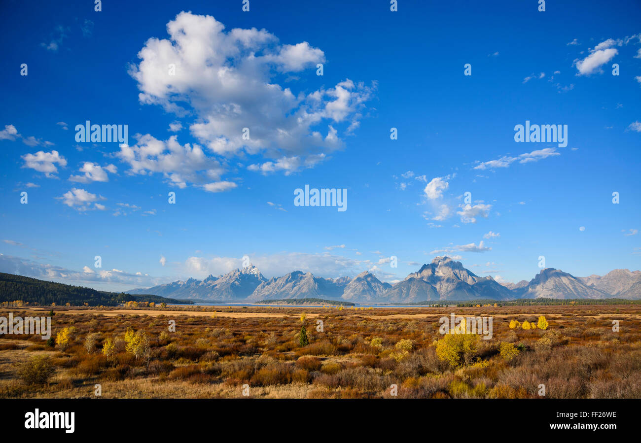 WiRMRMow FRMats und Teton Range, Grand Teton NationaRM Park, Wyoming, Vereinigte Staaten von Amerika, Nordamerika Stockfoto