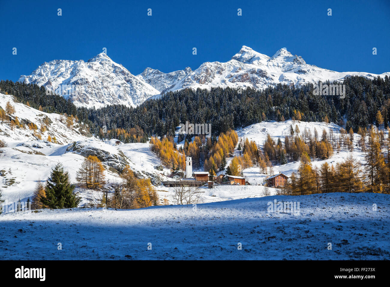 Verschneite Landschaft und bunte Bäume in das kleine Dorf Sur in Val Sursette, Kanton Graubünden, Schweiz, Europa Stockfoto