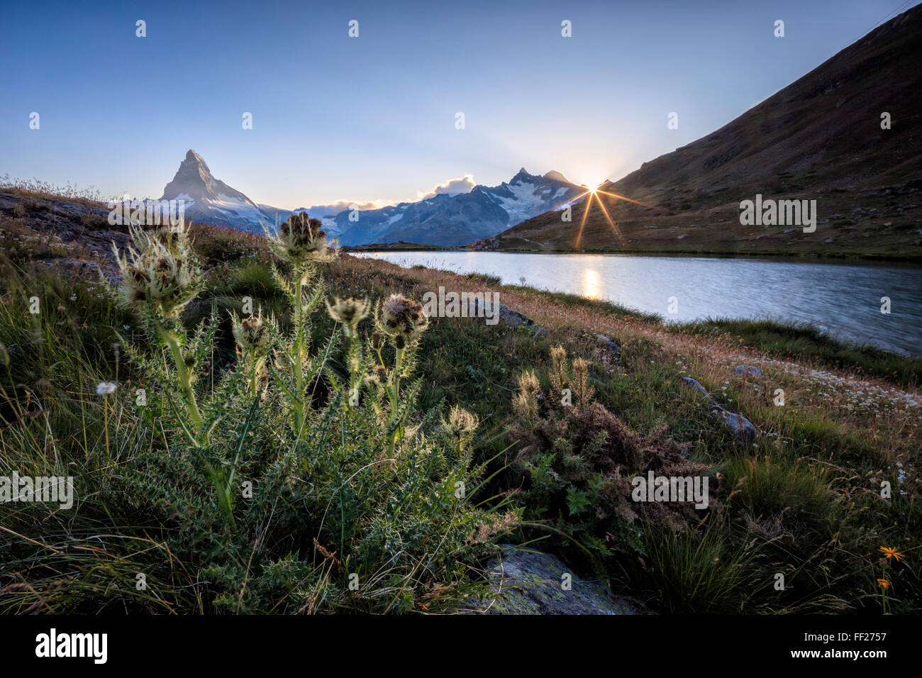Sonnenuntergang am See Stellisee mit dem Matterhorn im Hintergrund, Zermatt, Kanton Wallis, Walliser Alpen, Schweizer Alpen, Schweiz Stockfoto